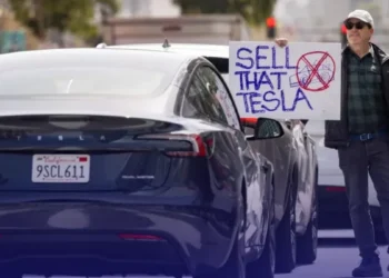 dogequest tesla data