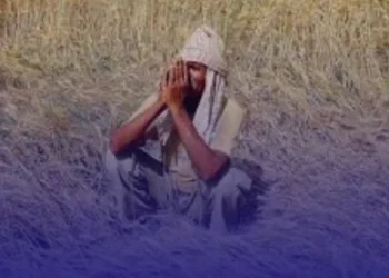 Notice Shocks Farmer with ₹143 Crore Tax Demand